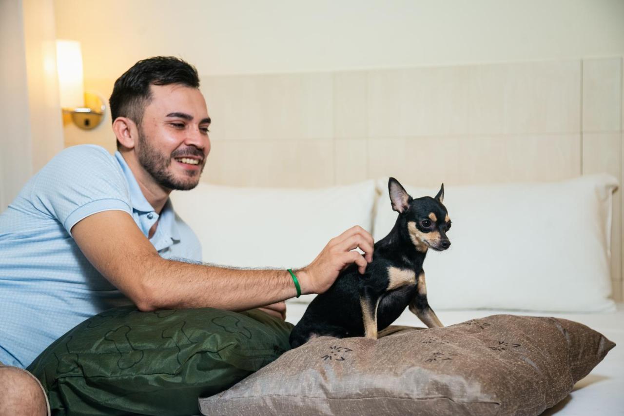 Ibis Styles Belem Batista Campos Otel Dış mekan fotoğraf